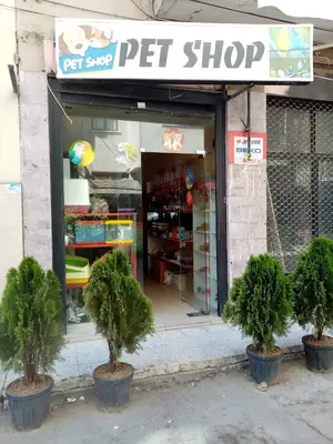 Tontiş Petshop
