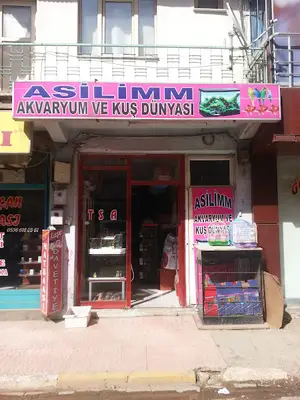 Asilim Akvaryum ve Kuş Dünyası