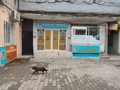 ATAM PET MARKET
