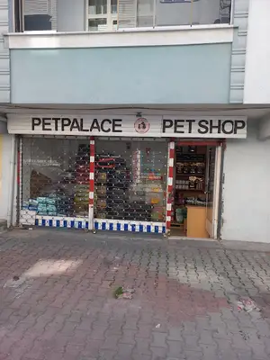 Wunder Pet Club - Satılık Kedi ve Satılık Köpekler