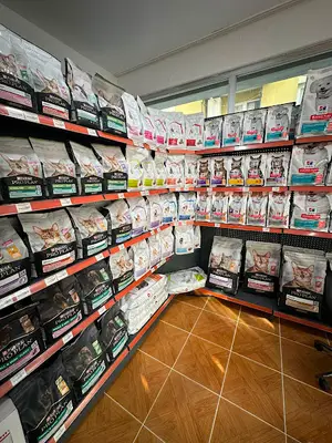 Pati Kanyon Petshop