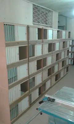 Evcil hayvan çarşı