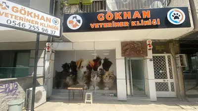 Efe Veteriner Kliniği fotoğrafı