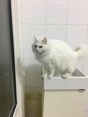 Tunay Veteriner Kliniği