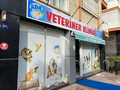 ADA VETERİNER KLİNİĞİ 🏝️