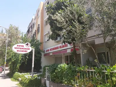 Asya Veteriner Kliniği