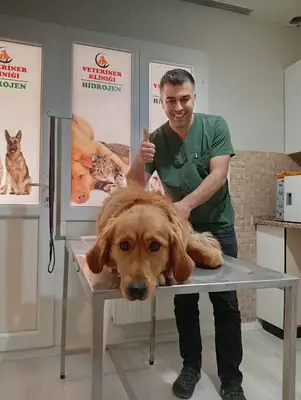 Hidrojen Veteriner Kliniği