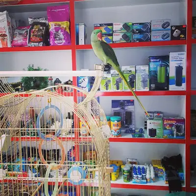 Tropikal Pet Shop