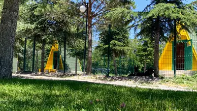 Pet Villas Köpek Oteli Eğitimi ve Rehabilitasyon Merkezi
