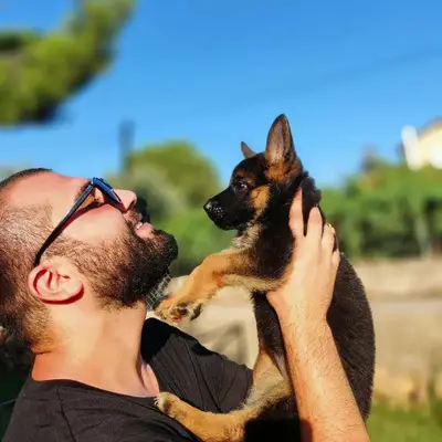 Köpek Eğitimi Merkezi - Pet Oteli ve Pansiyon Çiftliği - Köpek Eğitmeni Murat Güngör İstanbul fotoğrafı