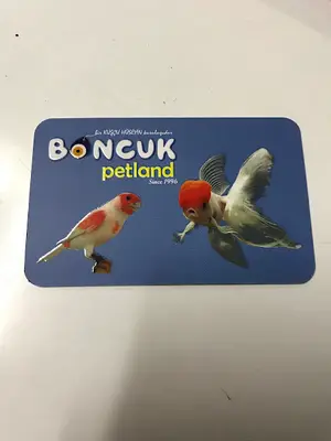 Boncuk petland