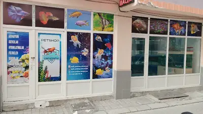 Deniz Yıldızı Akvaryum