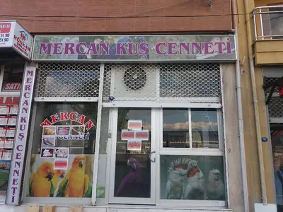 Mercan Petshop