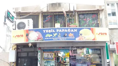 Güvercin Dünyasi