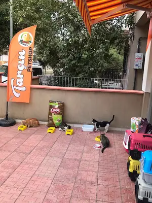 By Tarçın Petshop