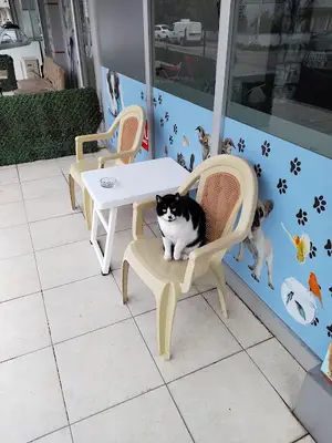 Göksu Veteriner Kliniği