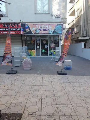 TURNA PETŞHOP KEMAL