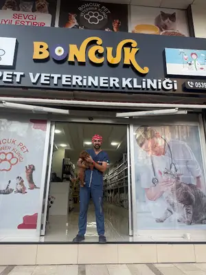 Boncuk pet Veteriner Kliniği ofis yenişehir