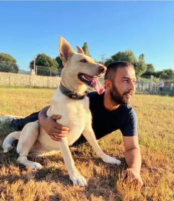 Dogmaster