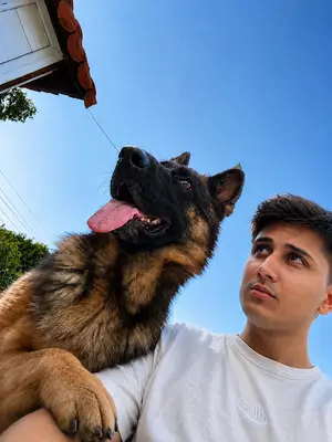 Adana Köpek Eğitim Akademisi Eren Akcan