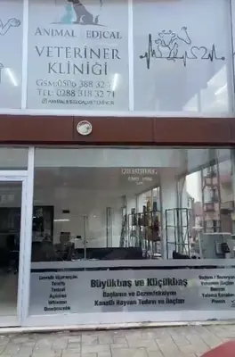 Animal Medical Veteriner Kliniği