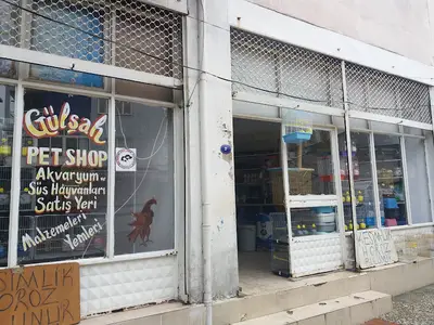 Gülşah Pet shop