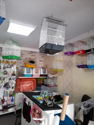 Cici Kuș Pet Shop
