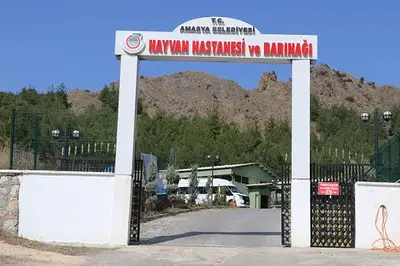 Amasya Hayvan Barınağı