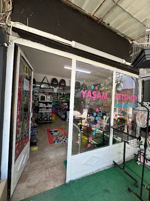 Cat Base Kedi Kumu