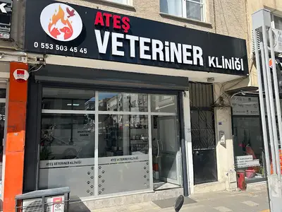 Kader Veteriner