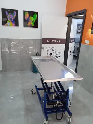 Vetamin Veteriner Kliniği