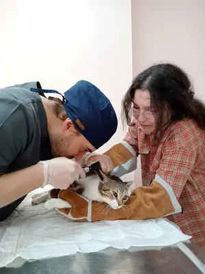 Halkalı Magic Veteriner Kliniği | Atakent | 7/24