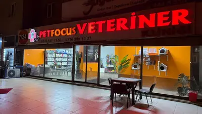petfocus veteriner kliniği