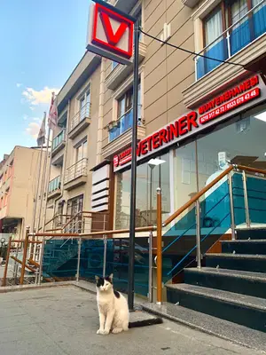 Libadiye Veteriner Kliniği