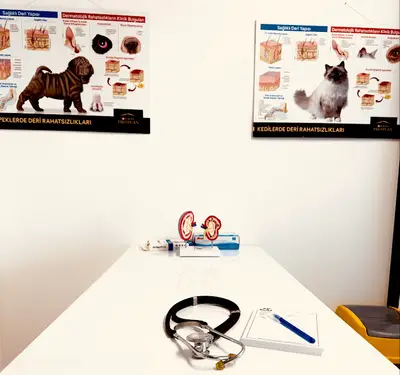 Dost Veteriner Kliniği 7/24 YEŞİLKÖY Acil Veteriner