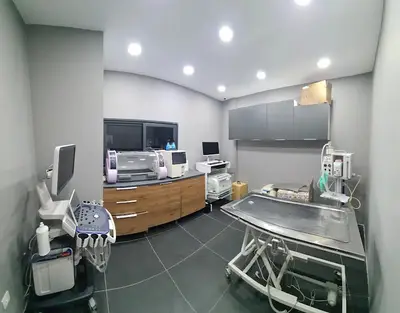 Neta Veteriner Kliniği Halkalı Küçükçekmece