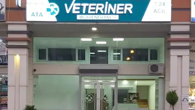 Beykent Ata Veteriner