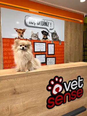 Kemerburgaz Vetsense Veteriner Kliniği