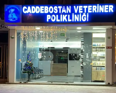 Caddebostan Veteriner Polikliniği