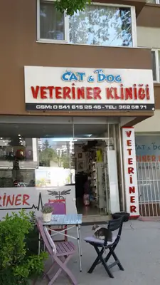 Cat & Dog Veteriner Klinigi