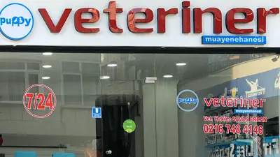 Puppy Veteriner Kliniği