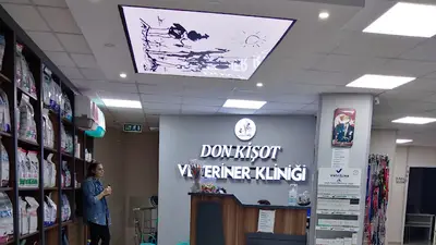 Don Kişot Veteriner Kliniği