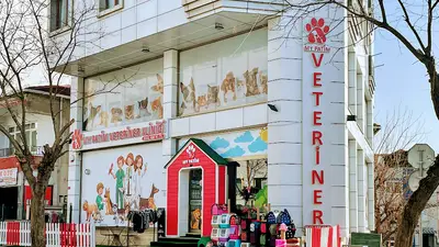 MY PATİM Veteriner Kliniği