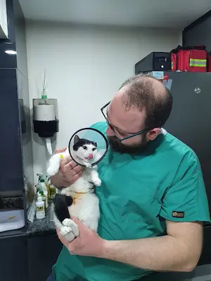 Pati Tepe Veteriner