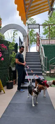 Petmania Veteriner Kliniği