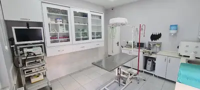 Pasteur Veteriner Kliniği