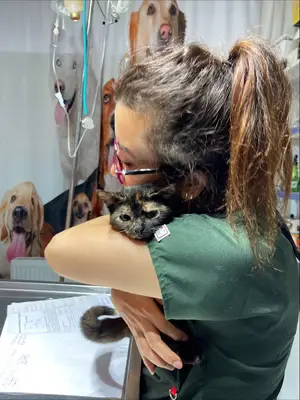Ayazağa Veteriner Kliniği