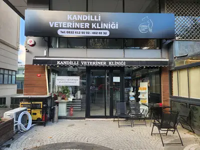 Kandilli Veteriner Kliniği