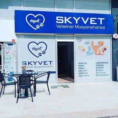 Skyvet Veteriner Kliniği fotoğrafı