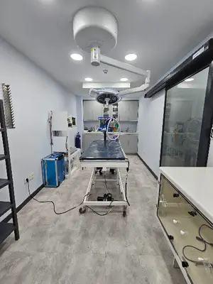 5. Levent Veteriner Kliniği fotoğrafı